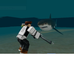 Shark Attack!