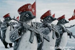 CPR - Communist Penguins Republic