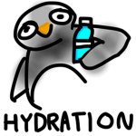 Hydration forever.