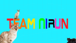 Nirun group