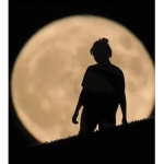 동물친구들과 사람친구들