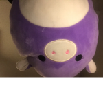 Squish club official