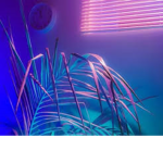 F L E X E R S