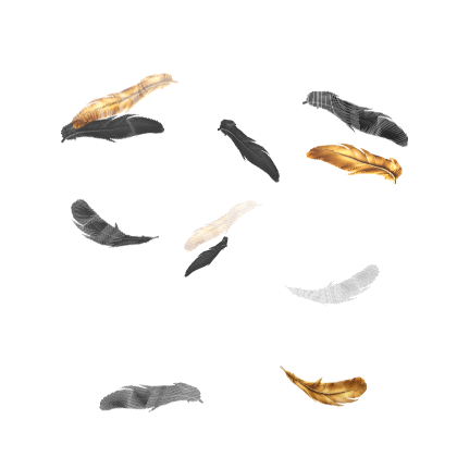 [Animated] Black Golden Angel Feathers