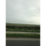 Poep_is_lekker
