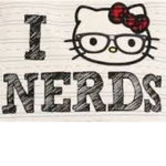 NERDY HANGOUT