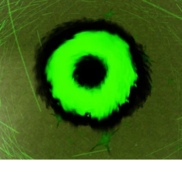Unholy path icon