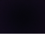 Roblox ?official? fan group