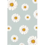 Welcome to the Daisy’s
