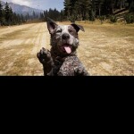 This game is not Private