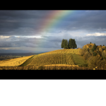 Rainbows place of great things