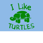 The Turtle Fan Group!