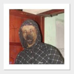 The Curs3d Dogs