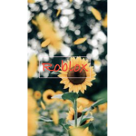 TheRobloxFans!