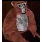Gorilla tag hehehehehehheh