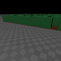 The Maze [Upd]