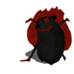 Vile Chomik