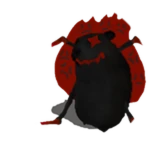 Vile Chomik