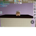 The Roblox fan squad!!