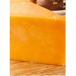 cheese studio :)