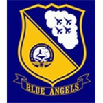 Blue Angels Flight Team.