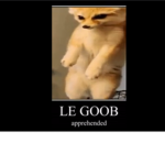 Goober activities