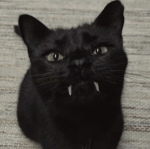 Angriest