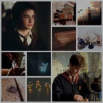 Harry Potter by Hermione Black
