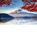 Tokyo Light
