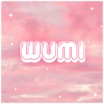 Wumi