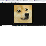 the army of the doge.