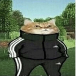 The Enforcers of Robloxia