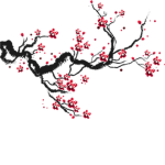 Sakura City | さくら