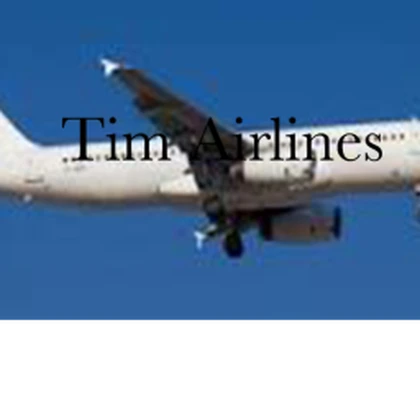 Tim Airlines Roblox group icon