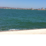 Sam_King
