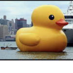 DUCKIES OF DOOM