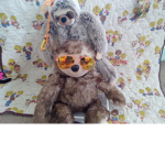 Sloth Crazy Cuties