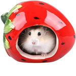 Hamsters are nice and cute