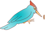 Woodpecker®