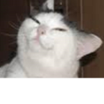 E,EEEEEE
