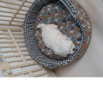 승밀그룹