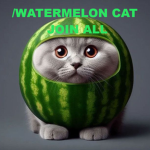 /WATERMELON CAT