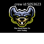 the hood rats yo