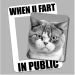 MM DEV icon