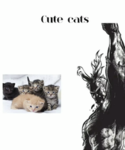 The kitty ticklers