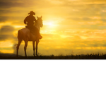 -Western Bounty Hunters-