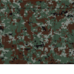 [CAF] Canadian Armed Forcesᅠᅠᅠ