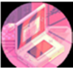 Soaneroblox