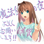 fate/stay gaming