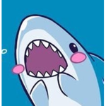 SharkyClothing